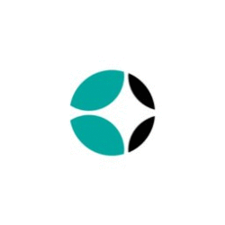 Loading animation
